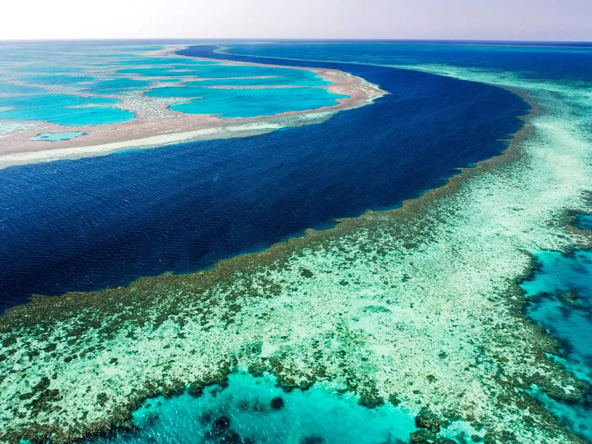 Australia s great barrier reef. Большой Барьерный риф. Барьерный риф в Австралии. Большой Барьерный риф (the great Barrier Reef). Коралловый риф в Австралии.