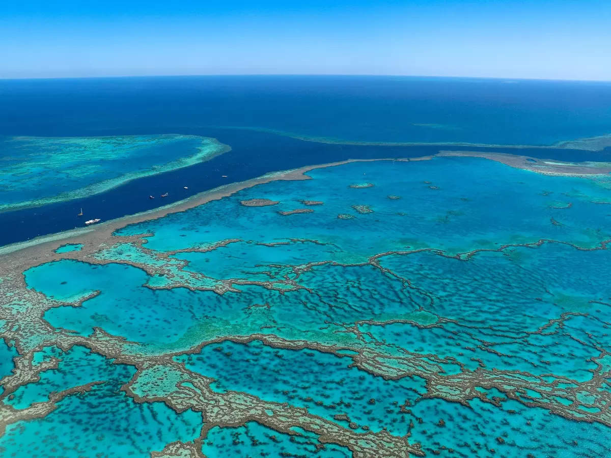 Why we can’t let Australia’s Great Barrier Reef die?, Queensland ...