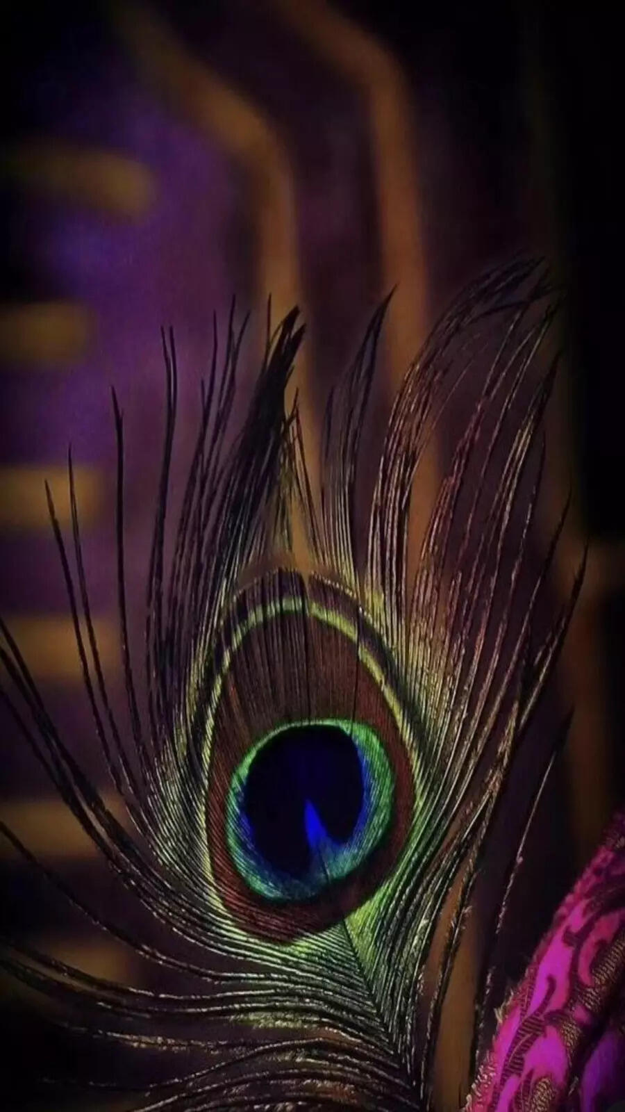 Things That Are Naturally Purple