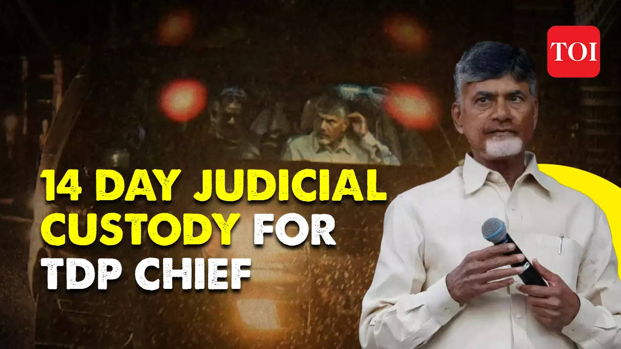 Skill Development Scam: ACB Court Sends TDP Chief N Chandrababu Naidu ...