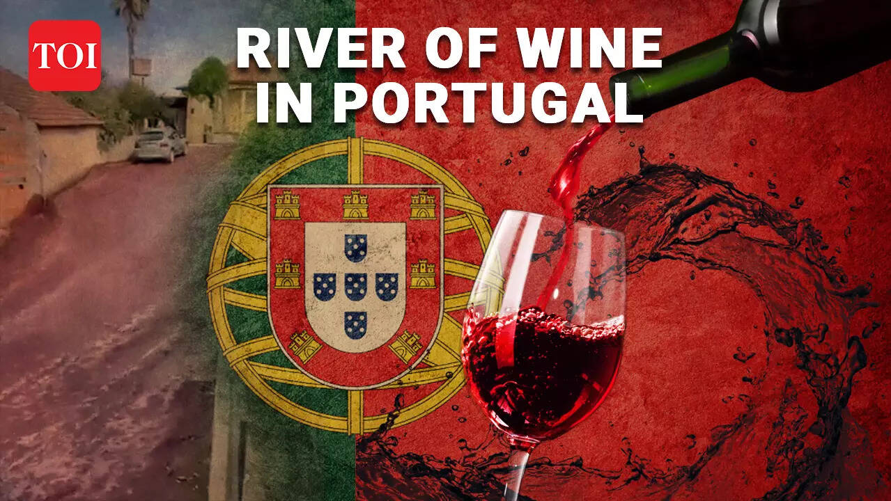 Viral Wine tsunami hits Portugal! 2 million litres flood the village