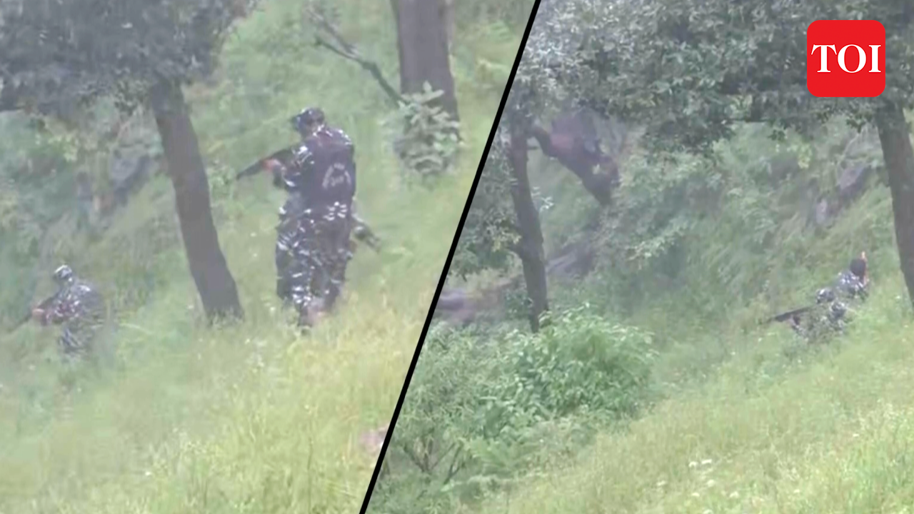 J&K: 2 Terrorists Gunned Down By Security Forces In Rajouri