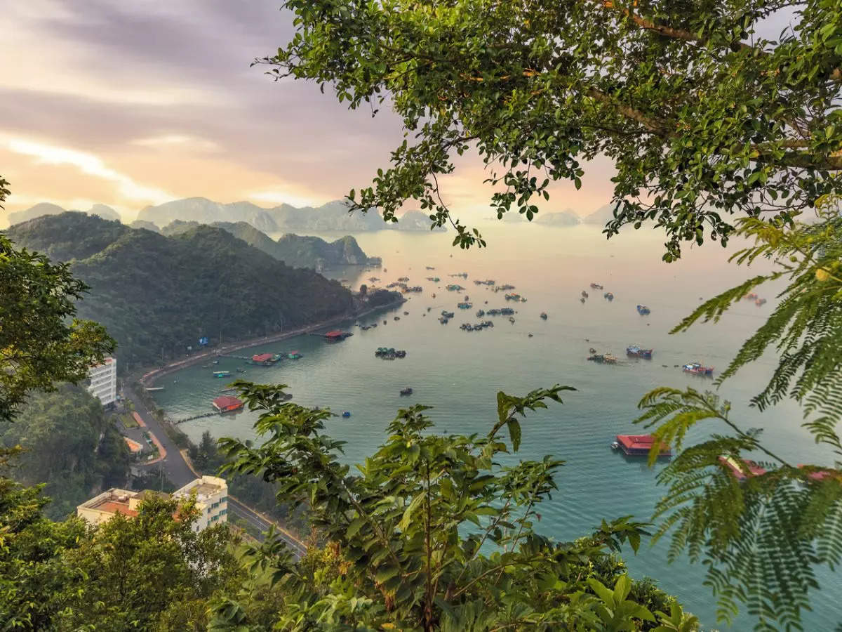 UNESCO recognises Ha Long Bay-Cat Ba Archipelago as world natural heritage