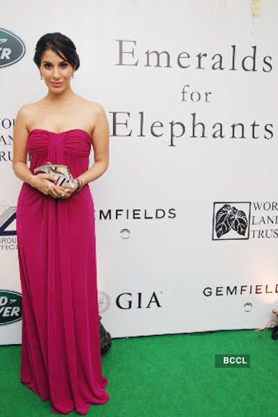 'Emeralds For Elephants' auction