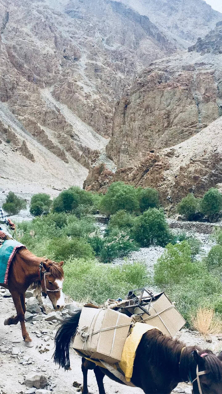 Stok Kangri Trek, Ladakh