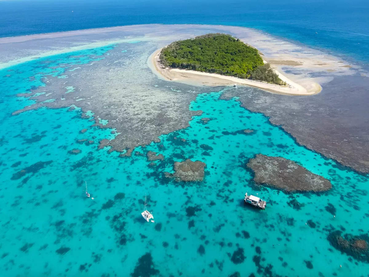 Tips for an excellent Great Barrier Reef experience | Times of India Travel