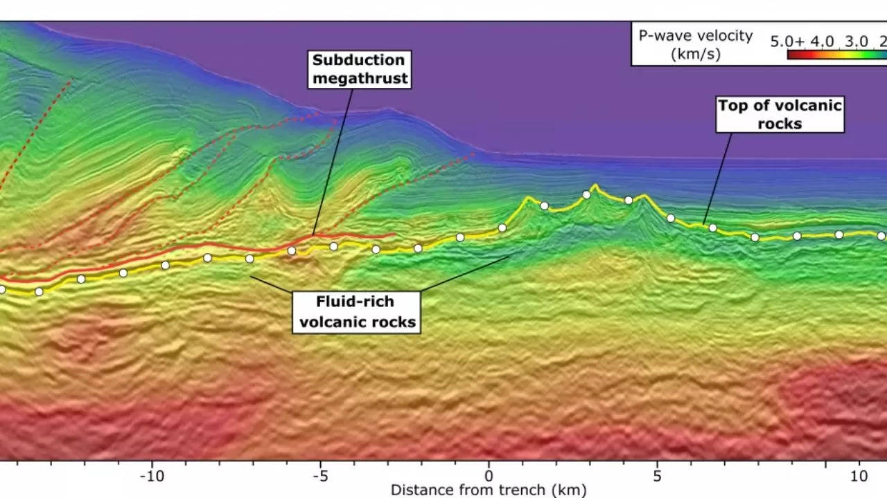 Una imagen sísmica de la meseta de Hikurangi revela detalles sobre el interior de la Tierra y en qué consiste.  Crédito: Andrew Gas