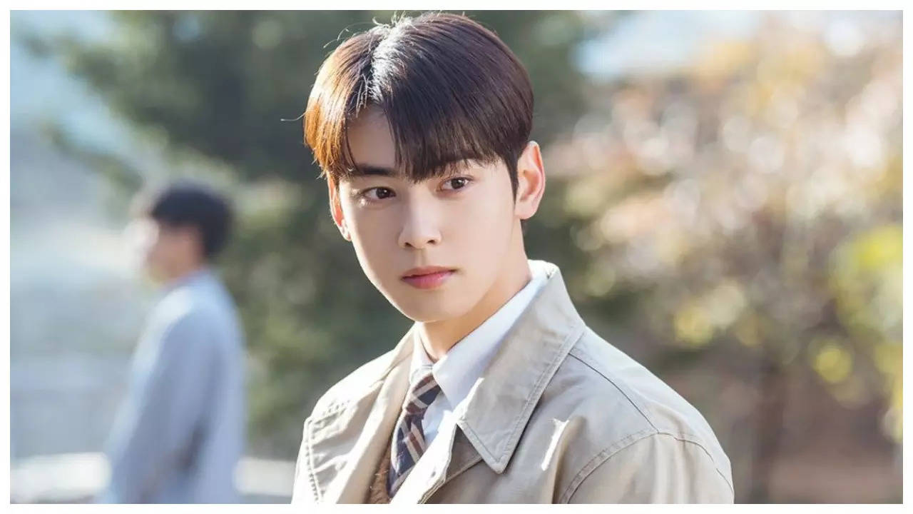 eun woo: Cha Eun Woo: The most memorable episode of 'A Good Day To Be A ...