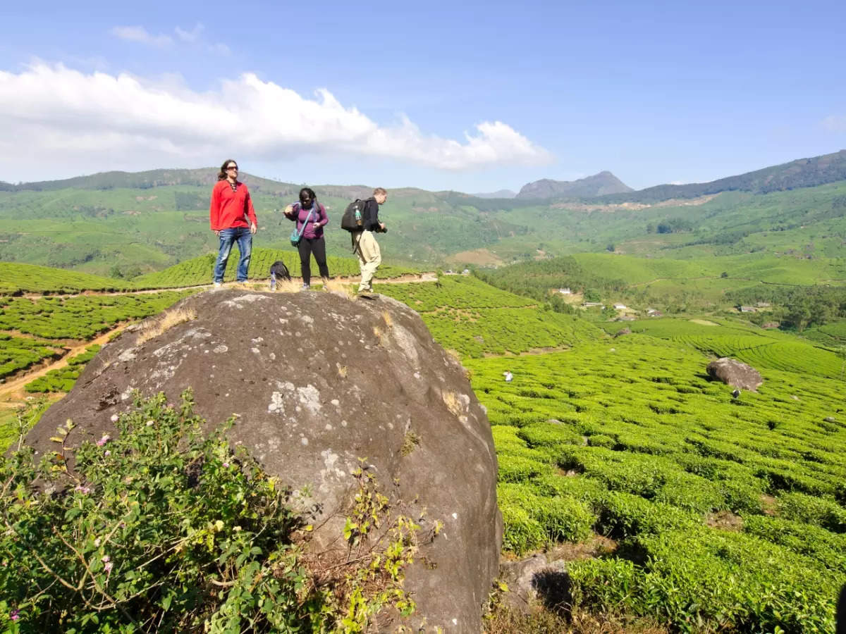 What Makes Munnar One Of The Best Romantic Getaways In India? | Times ...