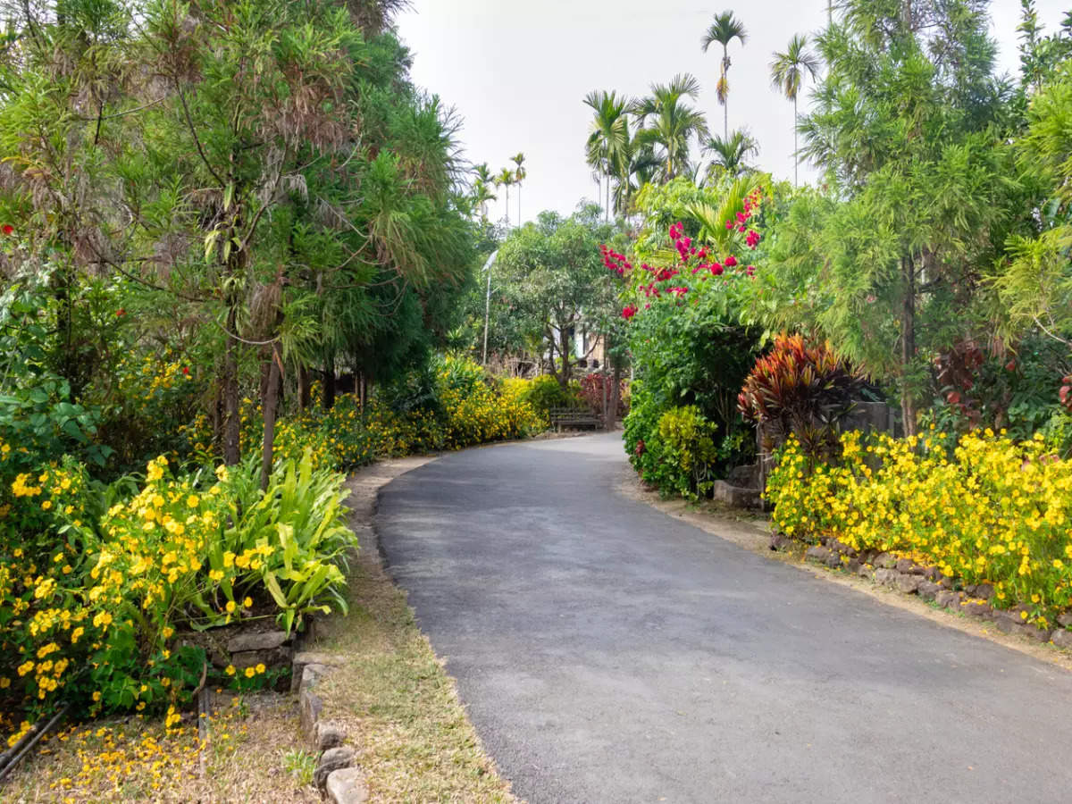 What's It Like To Visit Mawlynnong, One Of Asia's Cleanest Villages ...