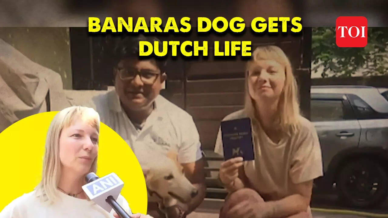 Stray dog Jaya from Varanasi is set to live a luxurious life in the