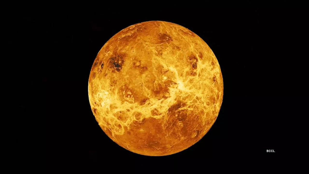 VENUS