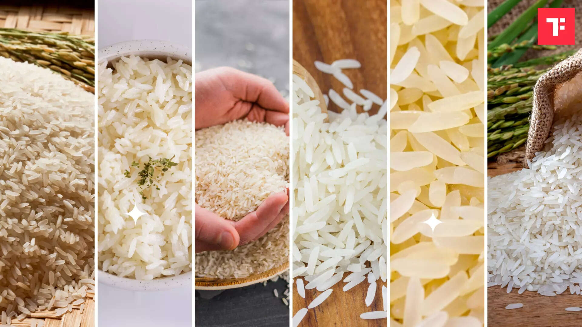 Watch: 9 popular rice varieties in India - Times Food