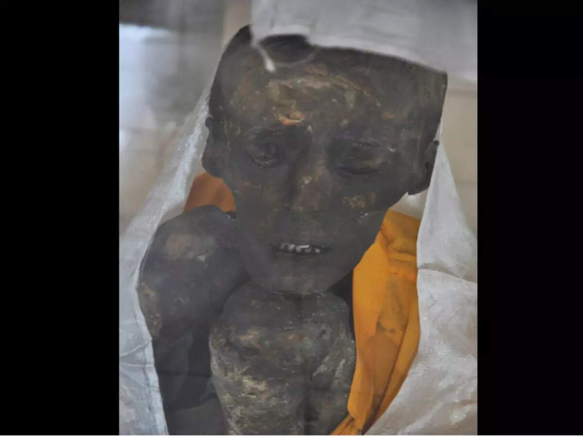 Gue Mummy: A peep into Spiti Valley intriguing time capsule Gue Mummy: A peep into Spiti Valley intriguing time capsule