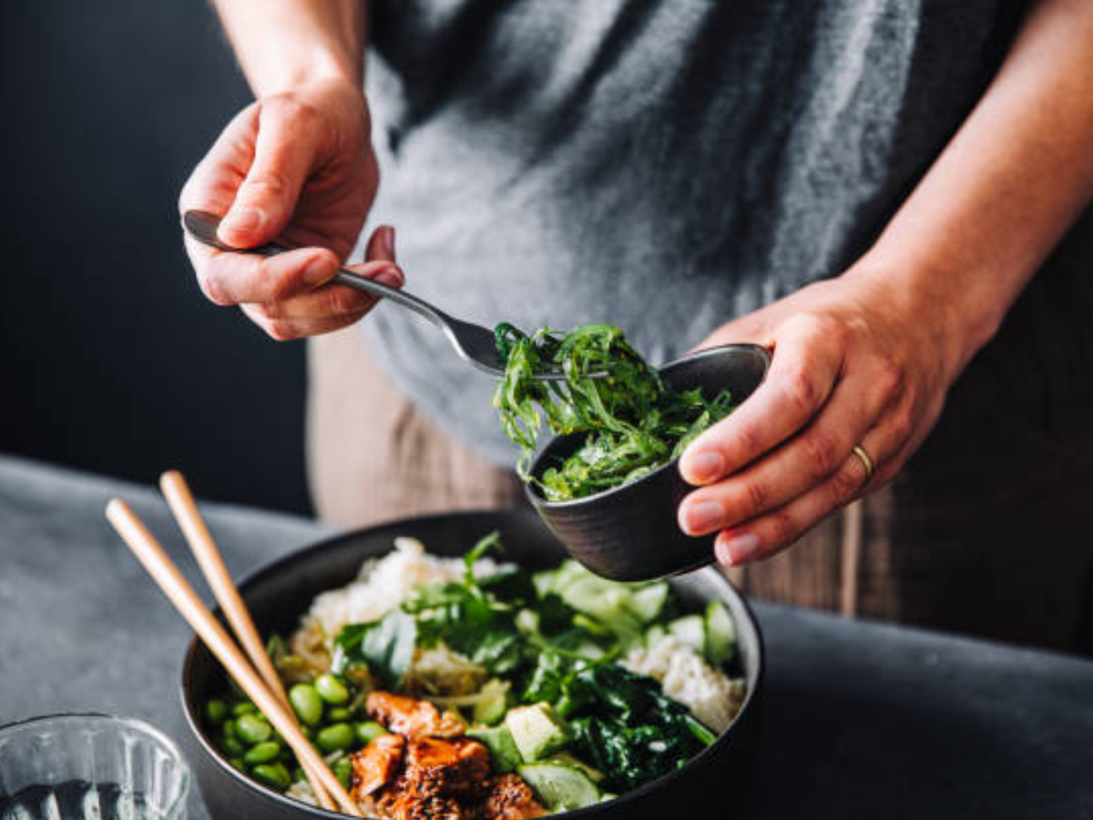 Portfolio diet All you need to know