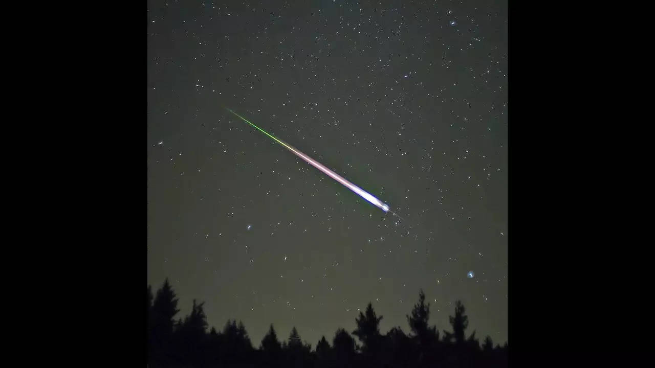 From Leonids meteor shower to Full Beaver's Moon Celestial events in