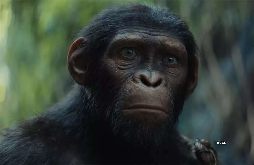 ​Kingdom-Of-The-Planet-Of-The-Apes​1