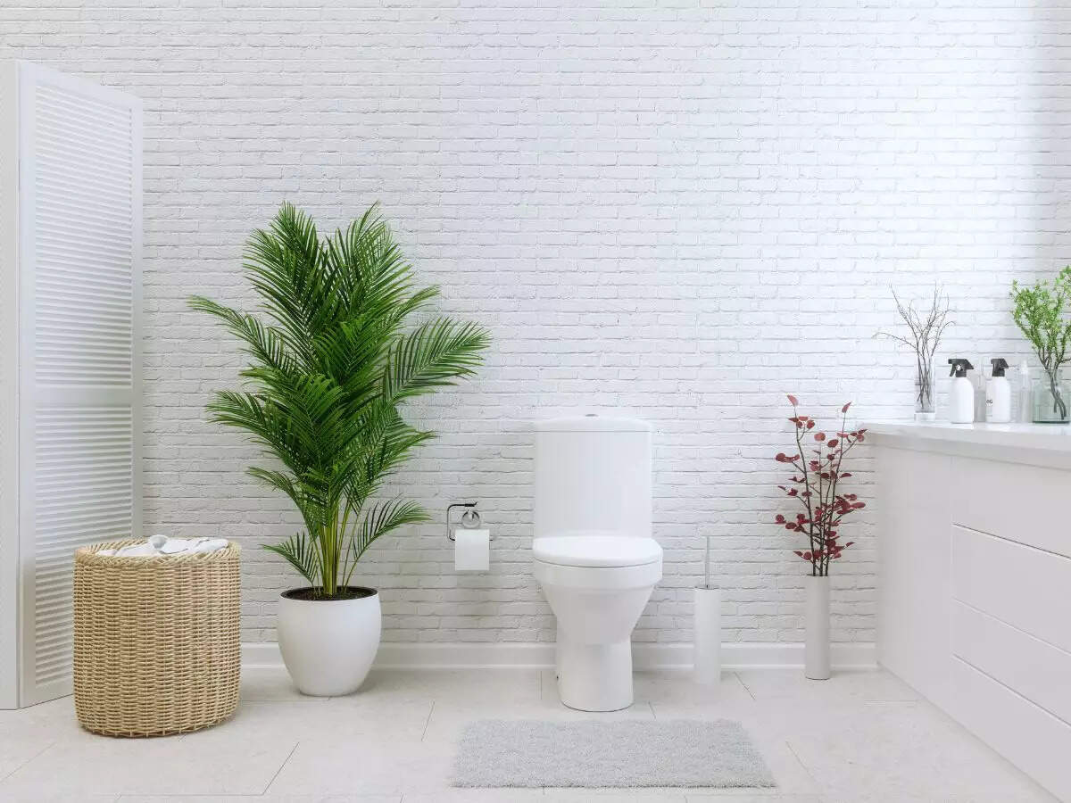 Using Your Phone In The Toilet Could Lead To This Disease 