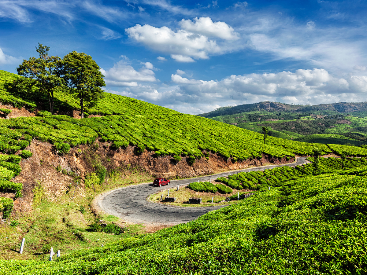 Kerala’s Responsible Tourism earns recognition on UNWTO list Kerala’s Responsible Tourism earns recognition on UNWTO list