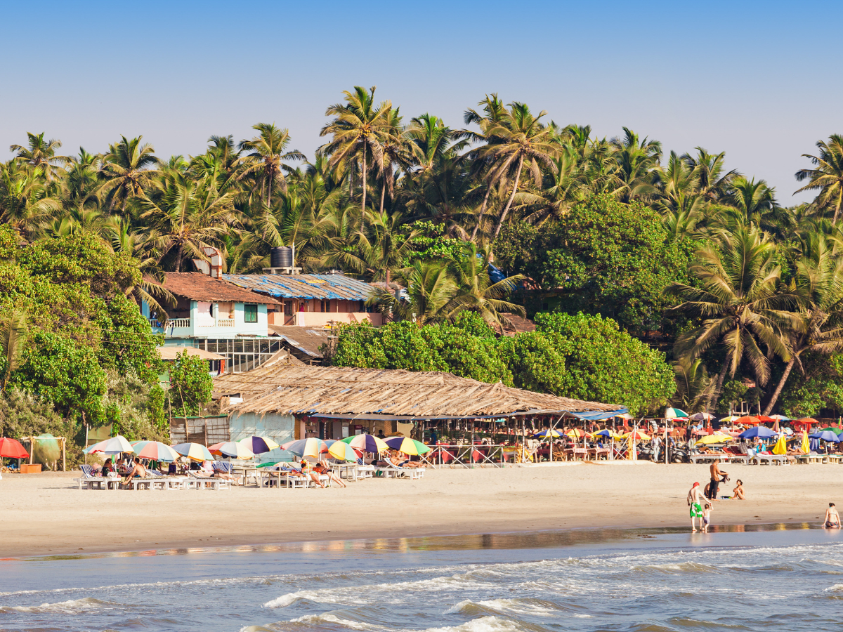 Goa: ‘Safe swim’ and ‘no selfie’ zones set up at beaches for safety of visitors