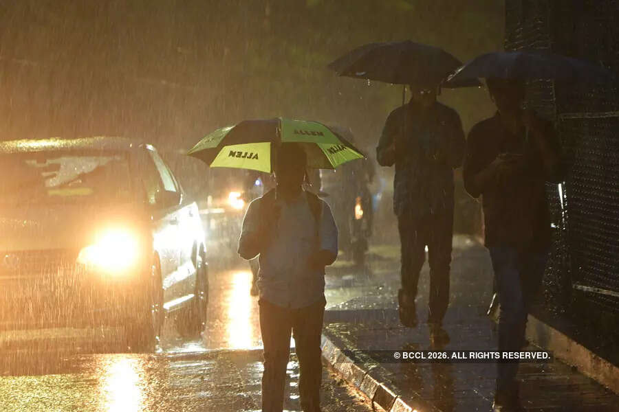 Cyclone Michaung pictures