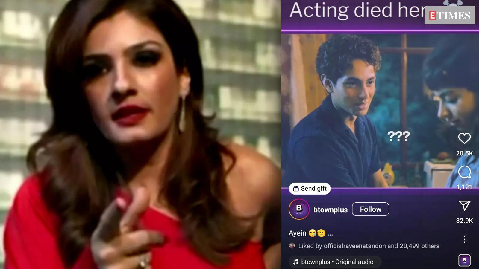 Raveena Tandon Gets Trolled For Liking Post Criticising Agastya Nanda And Khushi Kapoor S