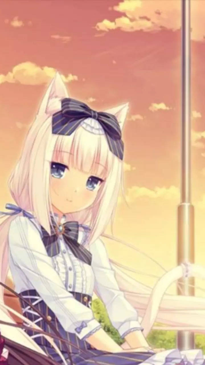 What is a cat girl called in Anime? | Times of India