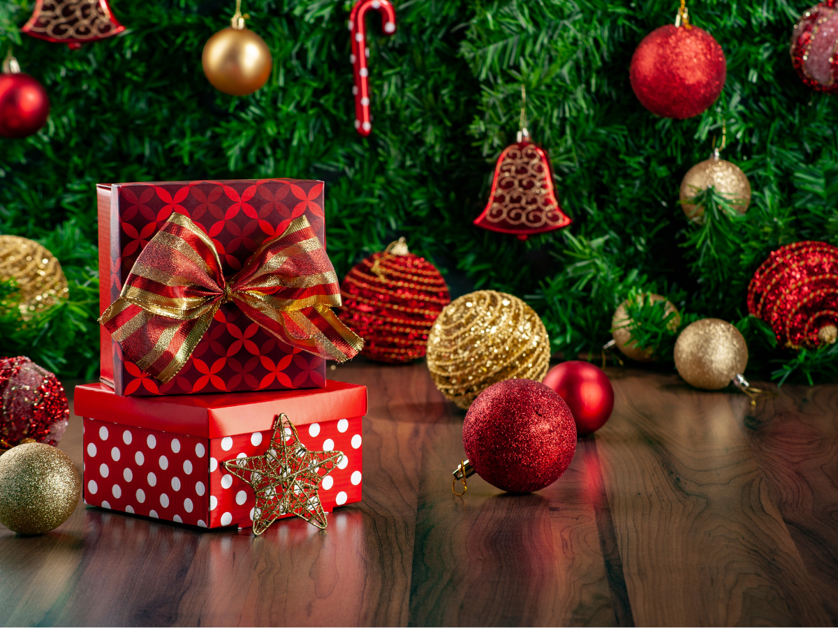 Where to celebrate Christmas in India?, India Times of India Travel