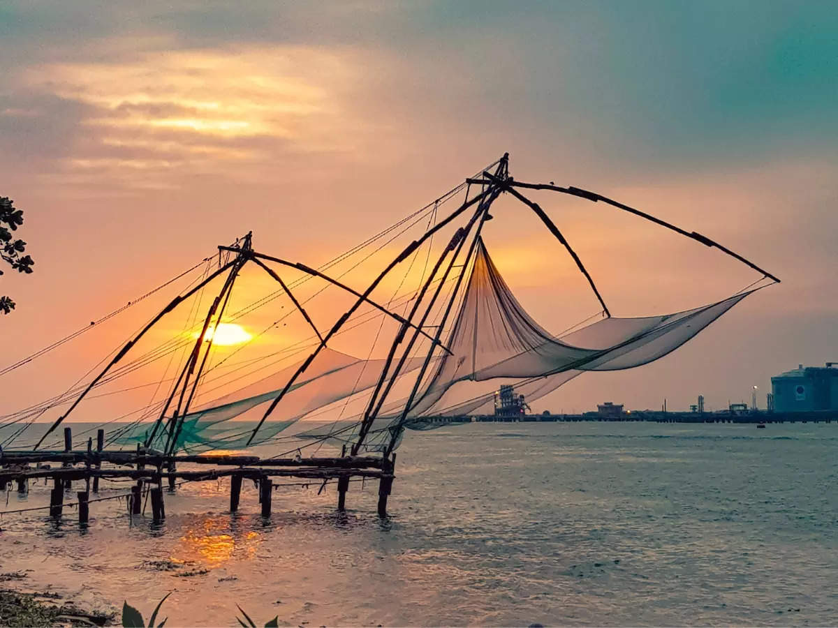 What should you buy from Kochi?, Kochi - Times of India Travel