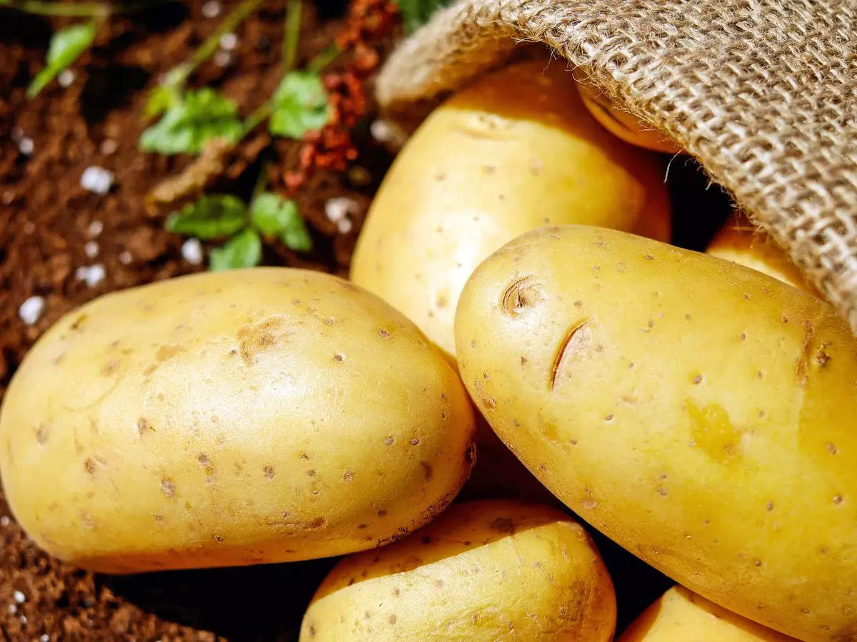 Why Do Potatoes Raise Blood Glucose More Than Sugar?