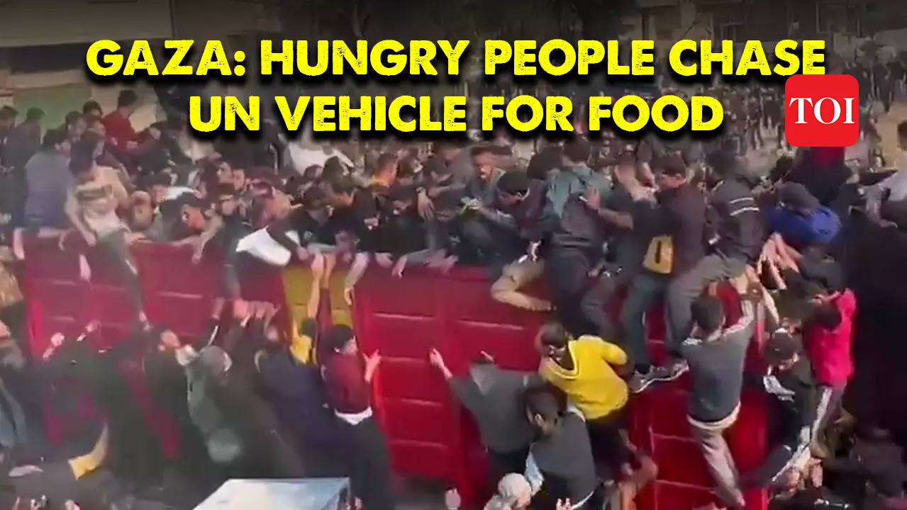 Israel-Hamas Conflict: Desperate For Food, People Chase UN Vehicle In ...