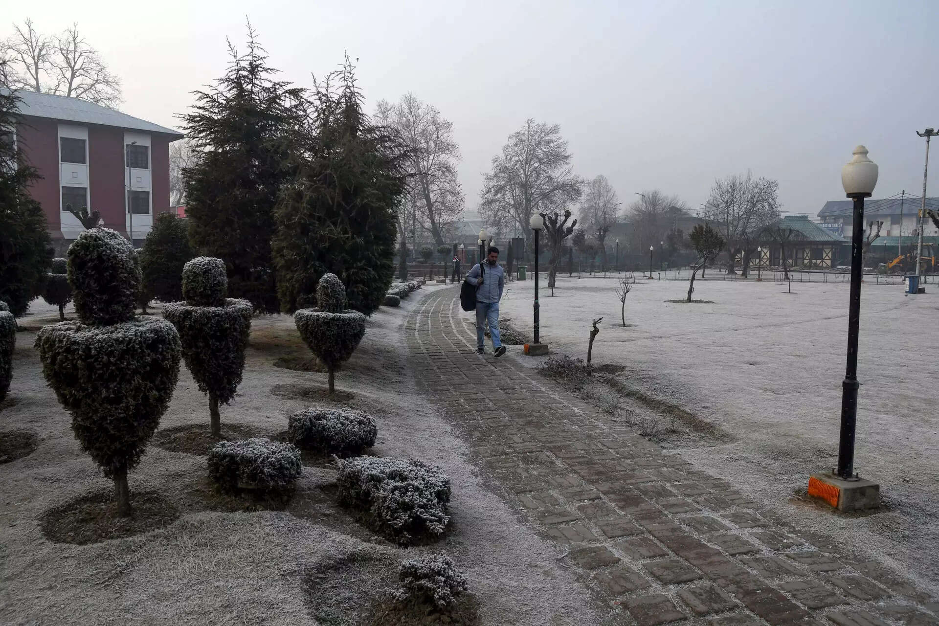 Photos Kashmir under snow blanket; Srinagar shivers at 5.2°C, Pahalgam at 6.2°C