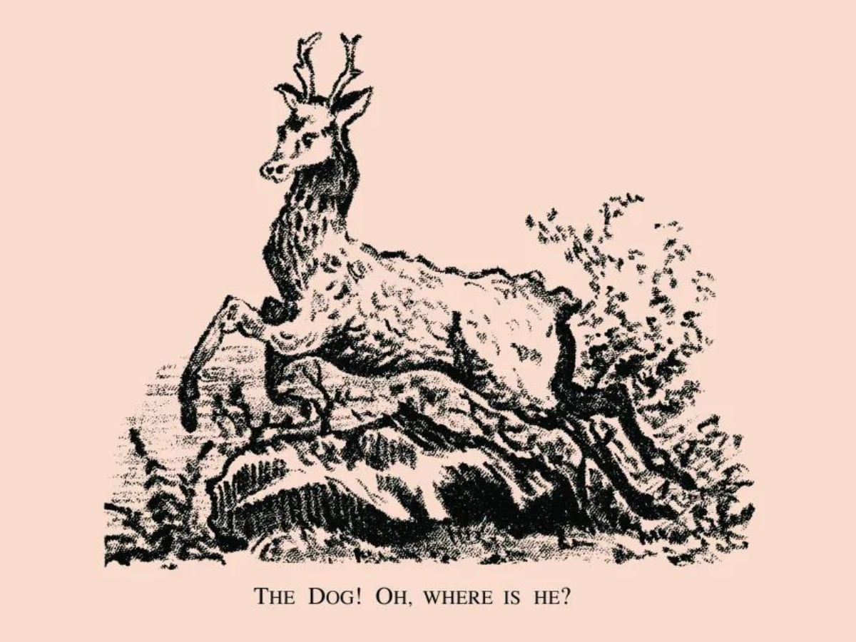 Visual challenge: Only a true pet lover can spot the dog in under 7 seconds
