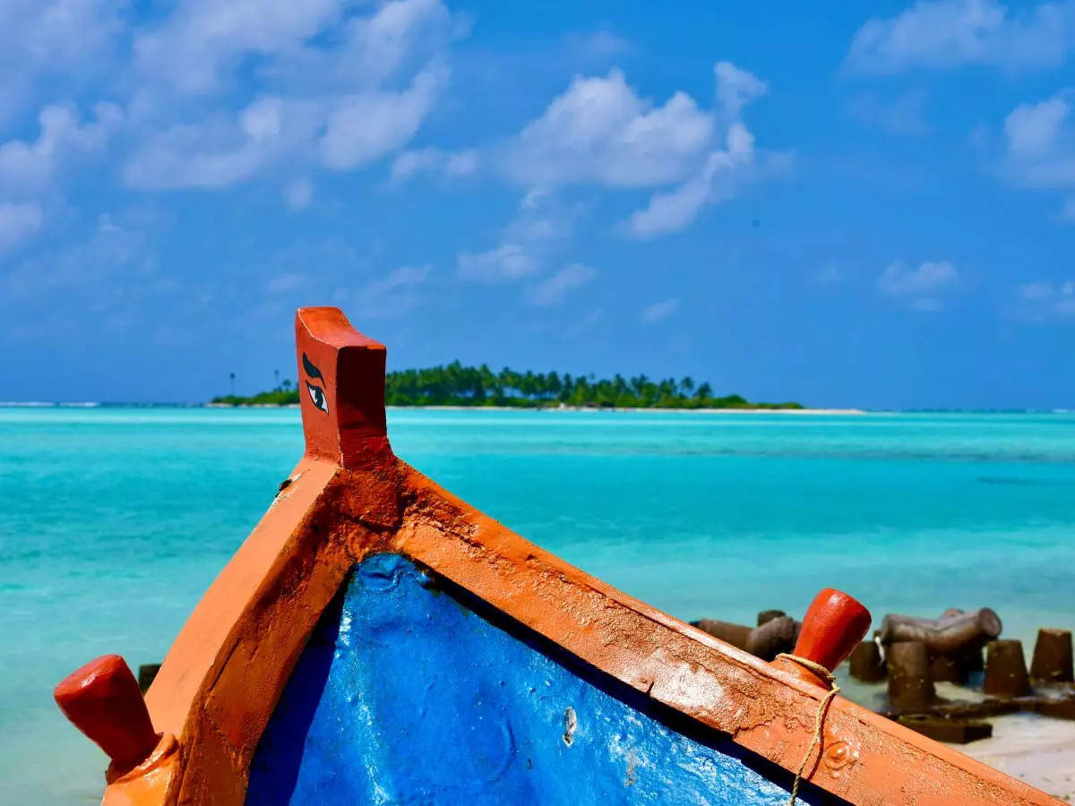 Captivating Life in a Glass Island