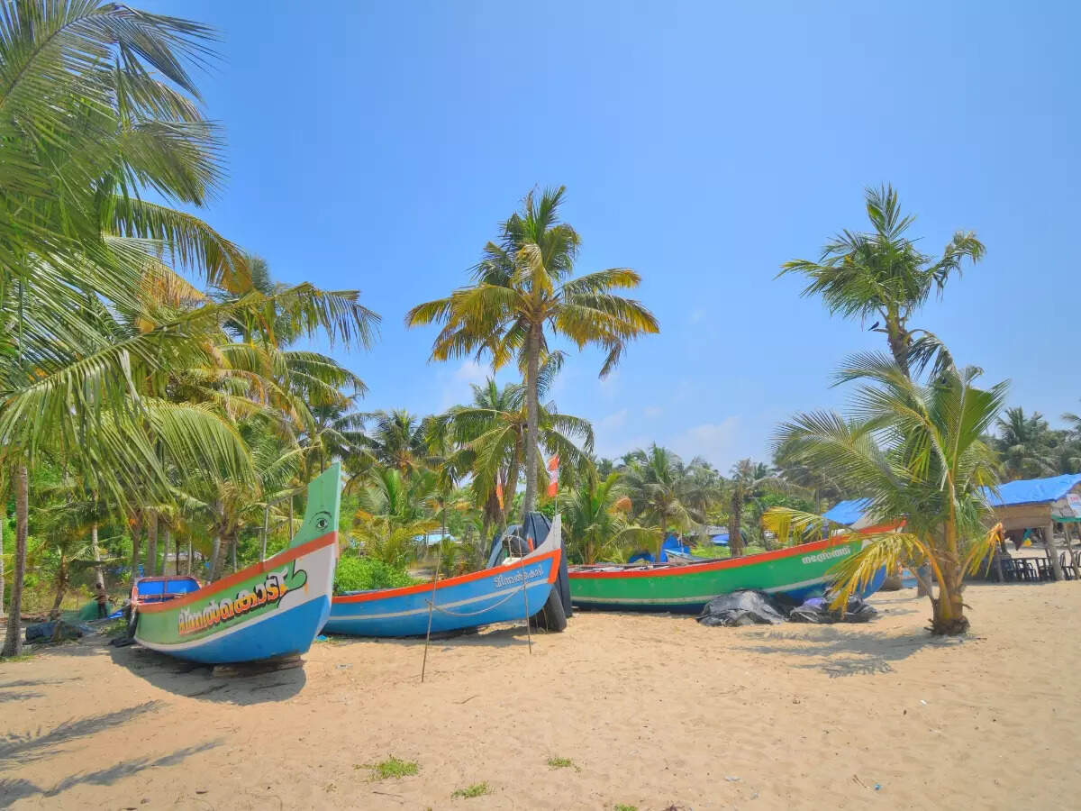 Republic Day long weekend: Celebrating the best of Indian beaches Republic Day long weekend: Celebrating the best of Indian beaches