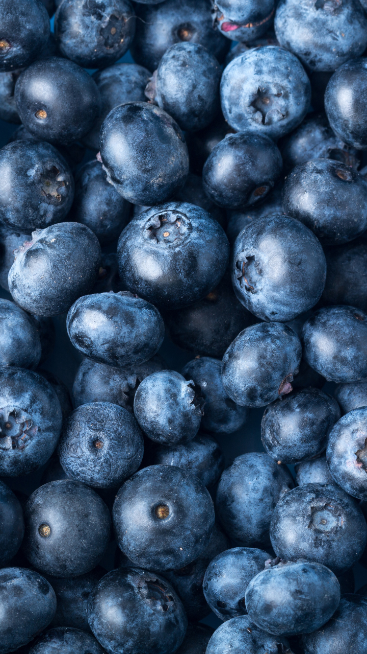 10 ways to add blueberries to your daily diet | Times of India