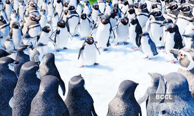 Happy Feet 2
