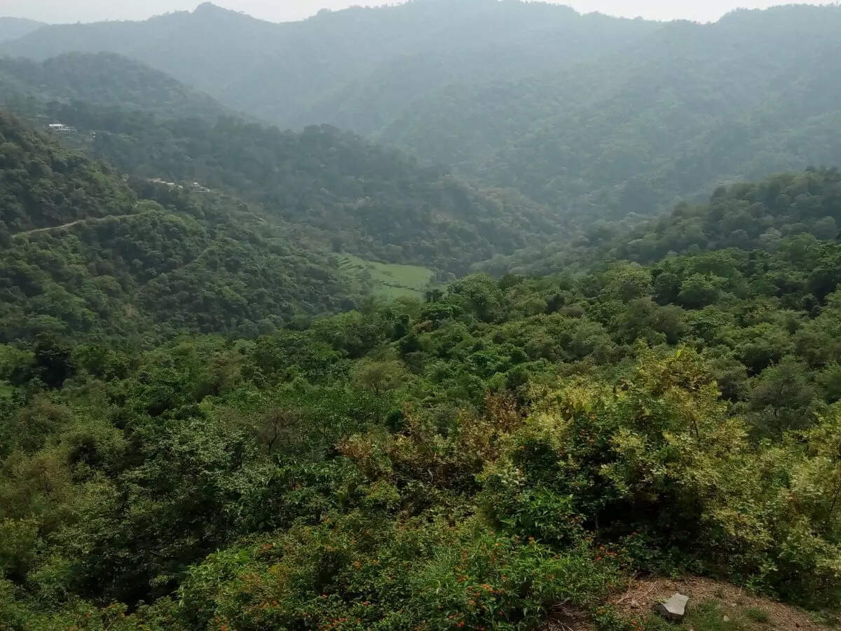 Exploring the beauty of Morni Hills, the only hill station in Haryana, Haryana Times of India