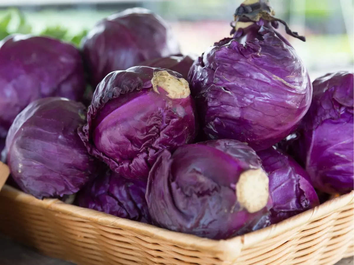 Purple Cabbage Benefits: 7 benefits of purple cabbage no one told you about