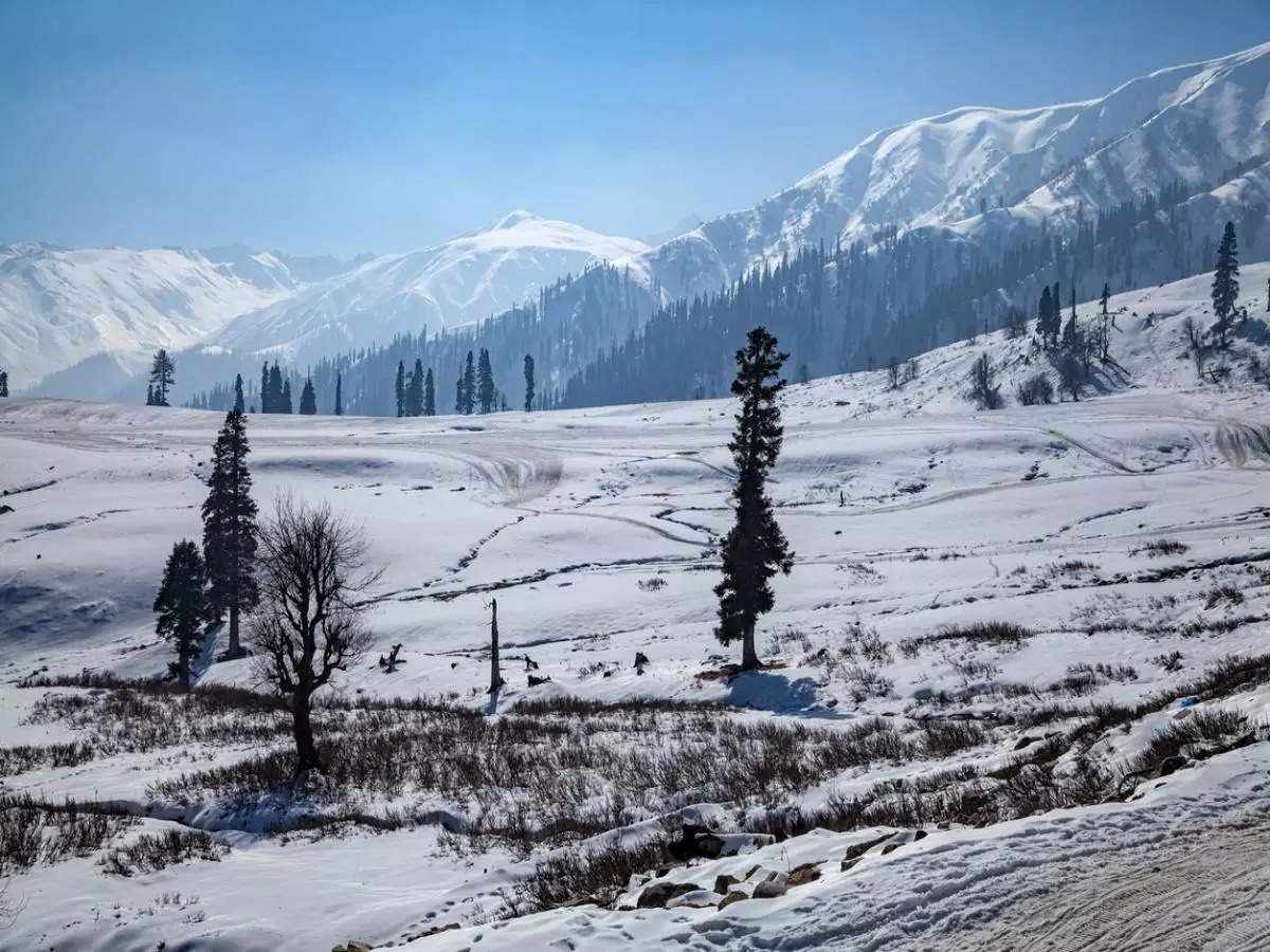 J&K: Upper reaches and Gulmarg finally receives first snowfall of the season