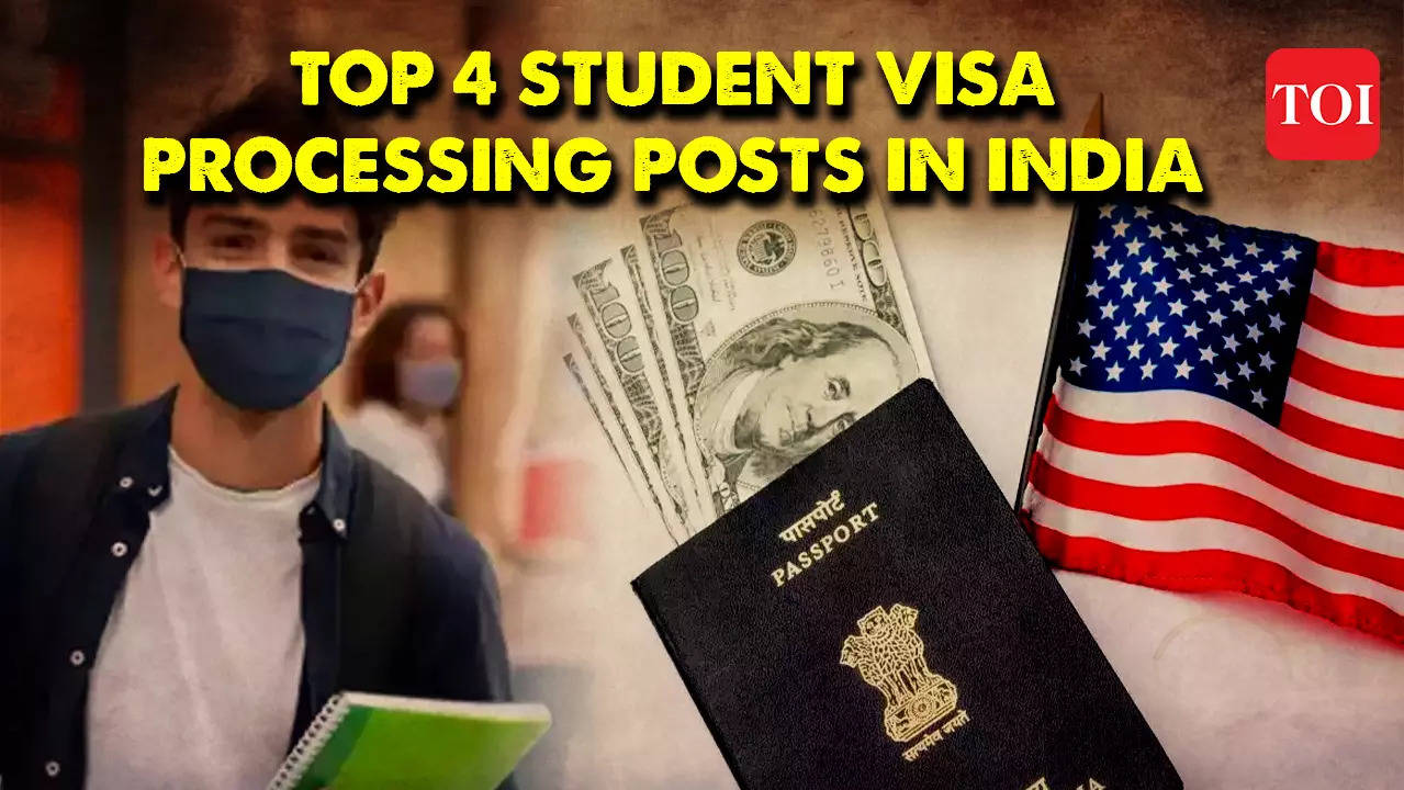 Us Shatters Records Grants 14 Million Visas To Indians In 2023 Find Out How 6195