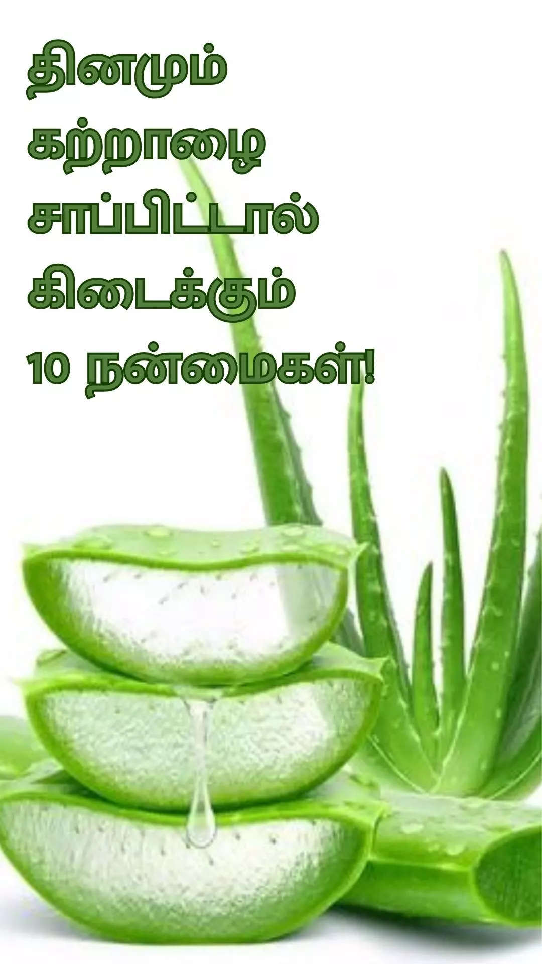 Aloe vera clearance benefit in tamil