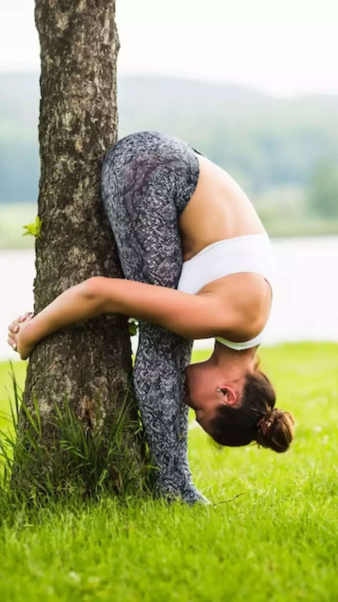 The best beginner yoga poses - Saga Exceptional
