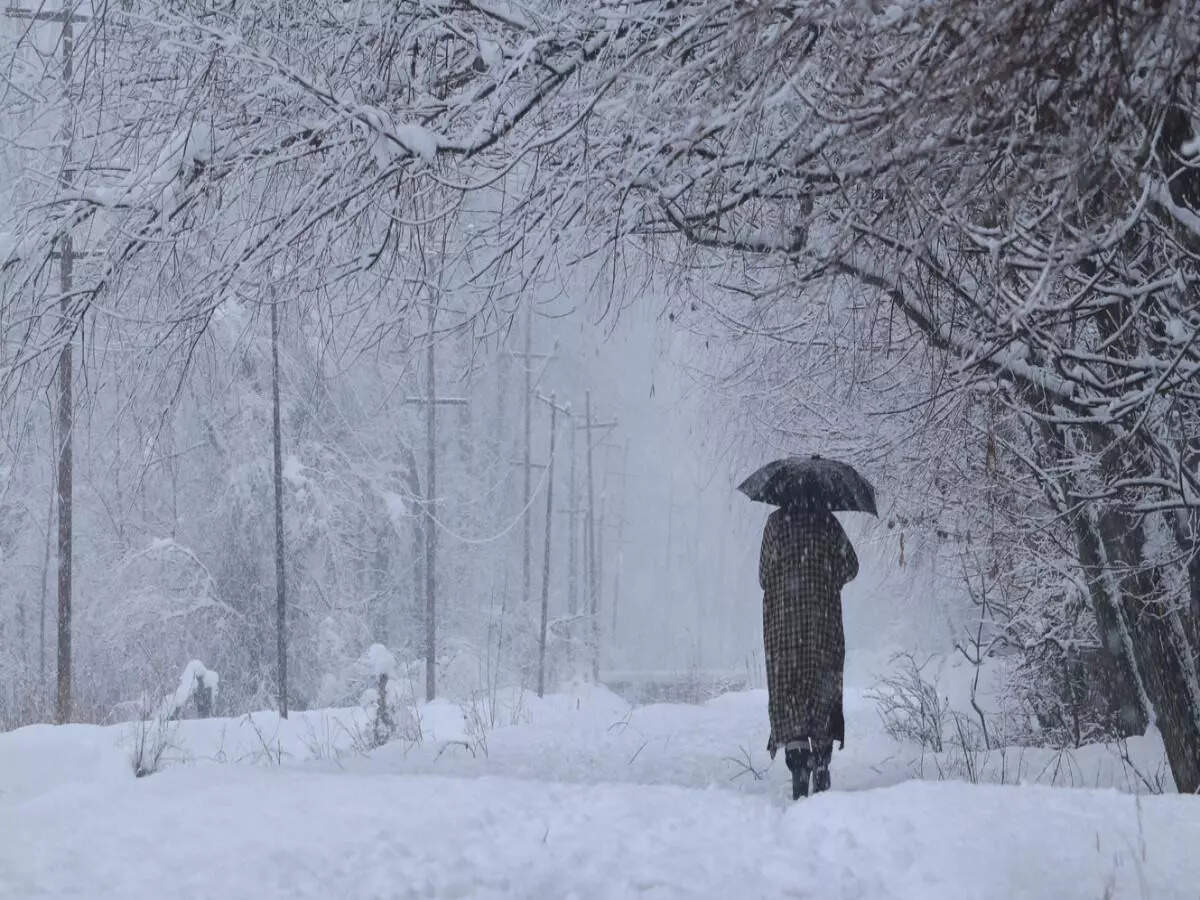 Kashmir: Roads closed, flights cancelled due to heavy snowfall; avalanche alert issued Kashmir: Roads closed, flights cancelled due to heavy snowfall; avalanche alert issued