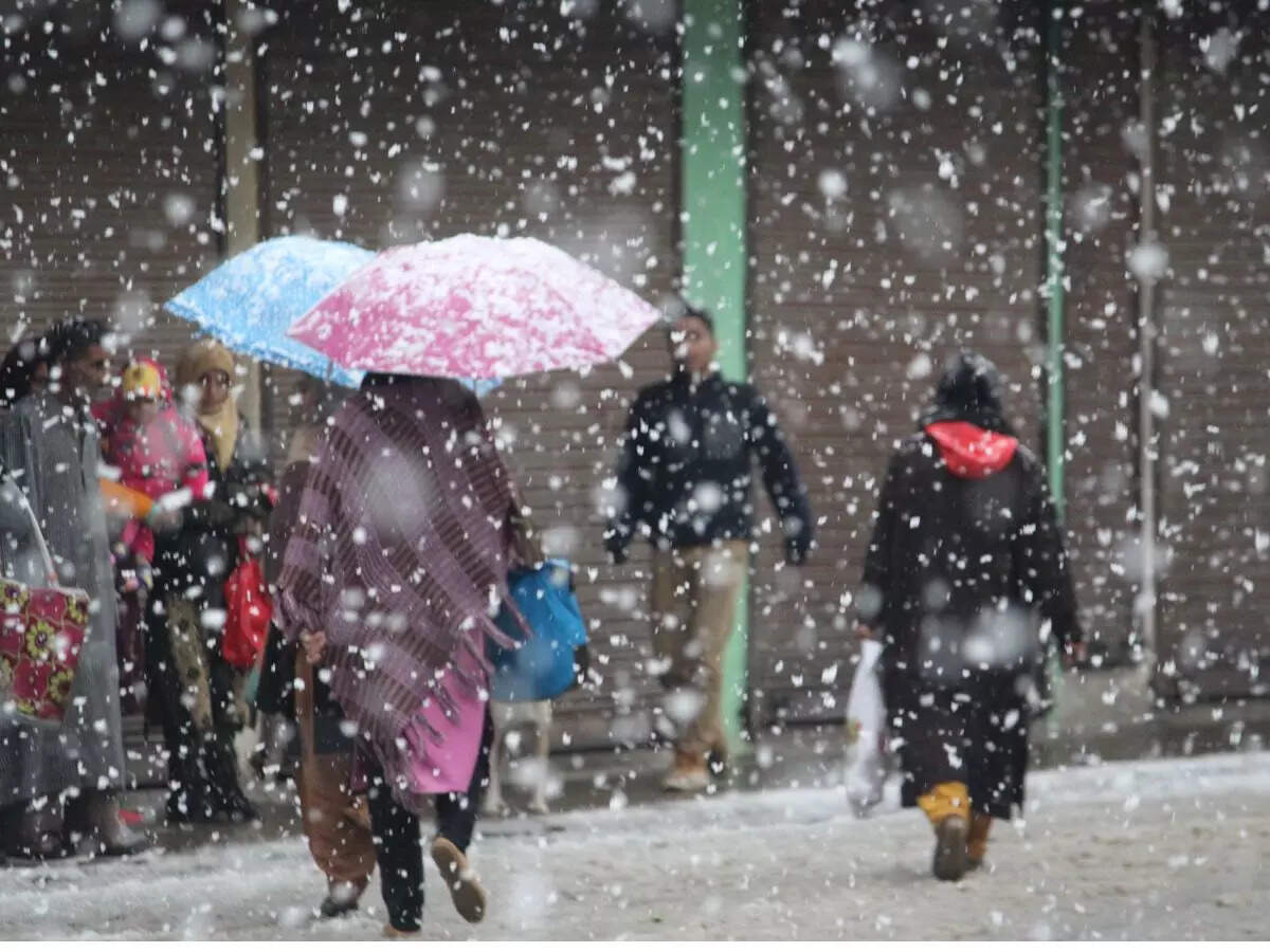 Kashmir's Aharbal witnesses a surge in tourist arrivals amidst recent snowfall Kashmir's Aharbal witnesses a surge in tourist arrivals amidst recent snowfall
