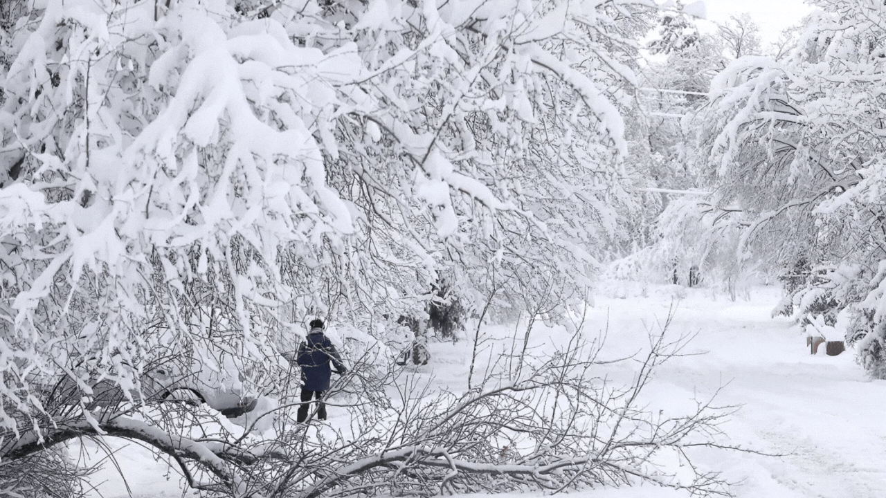 In Pics | Storms Dump Heavy Snowfall In Northern Arizona Causing Flight ...