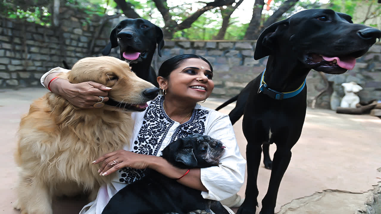 In the heart of Jubilee Hills, an animal lover provides a home for homeless animals
