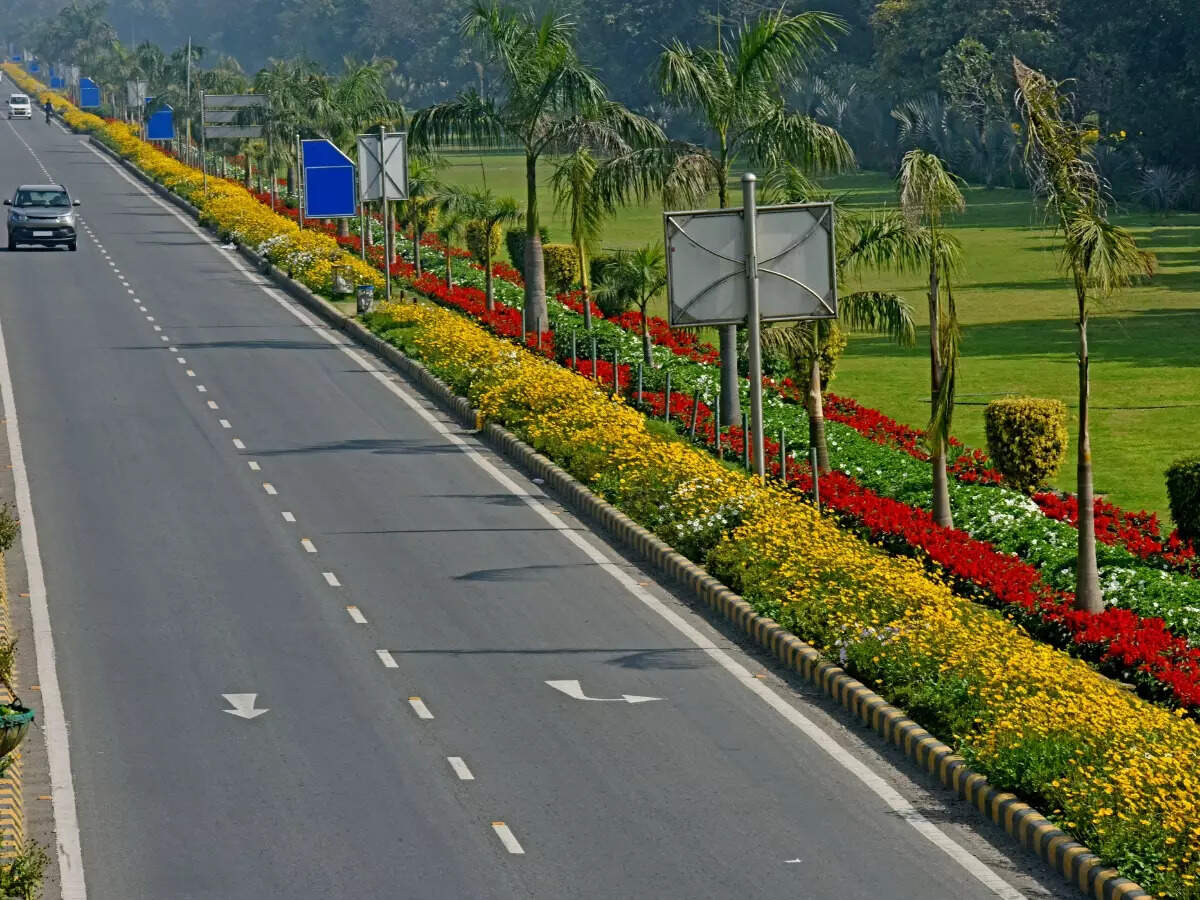 Delhi Tulip Festival: Date, venue, ticket price and how to reach