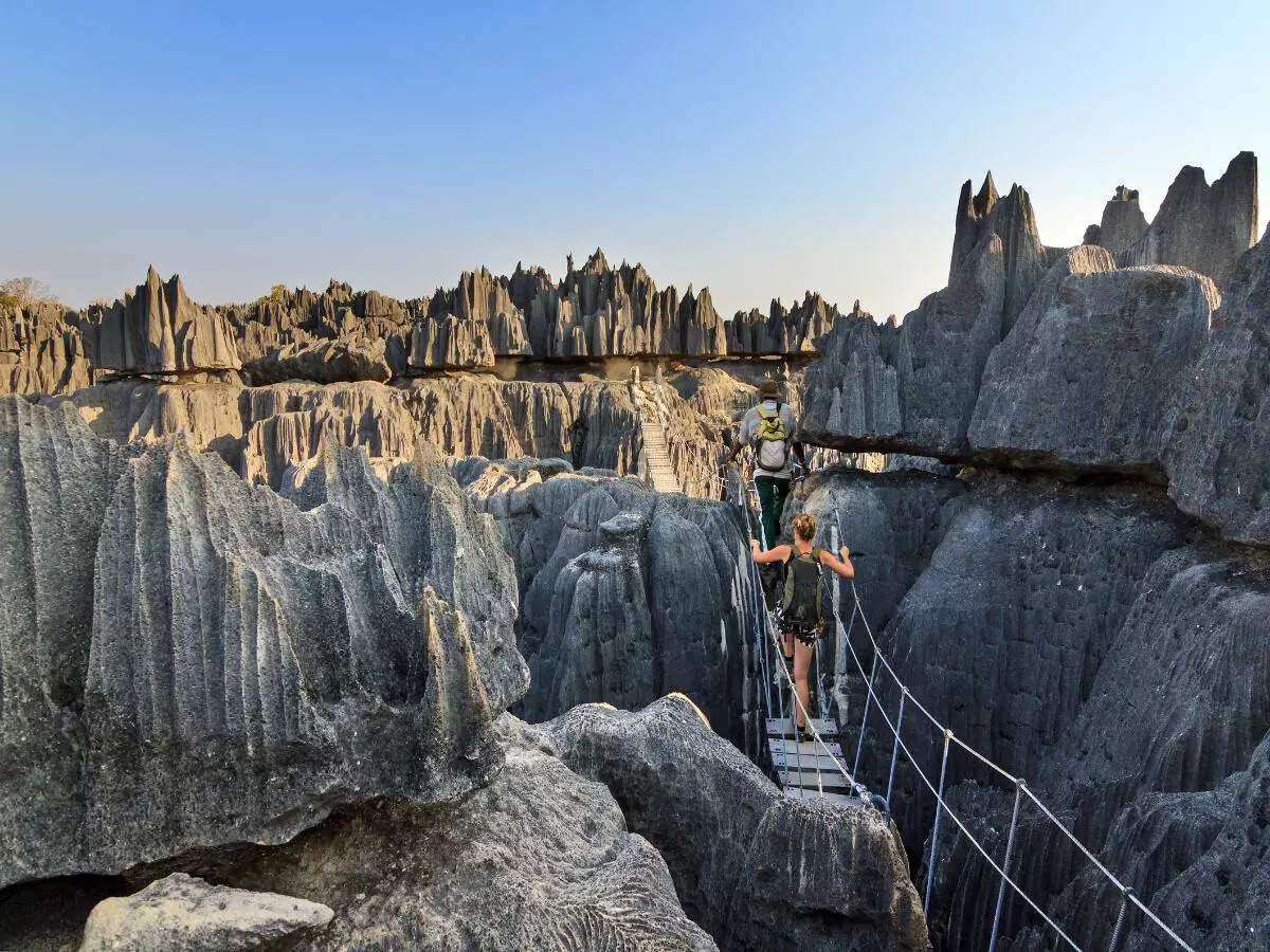 Tsingi Tsingy de Bemaraha, the world's most incredible stone forest and ...