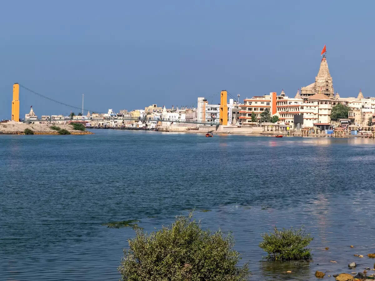 PM Modi goes diving in Dwarka; calls it 'divine experience'